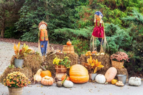 outdoor thanksgiving decorations